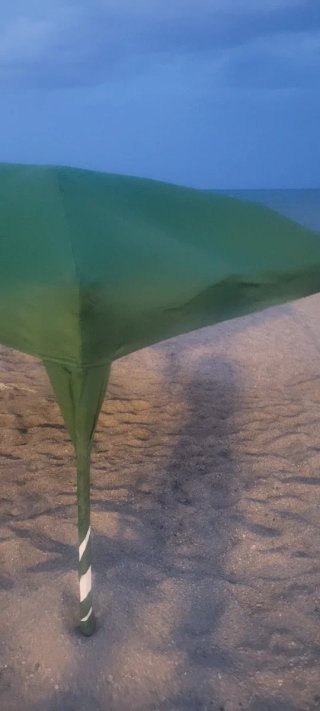 Funda / Tela para carpa verde