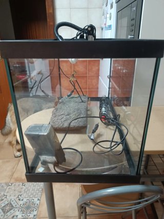 Acuario Negro y Transparente