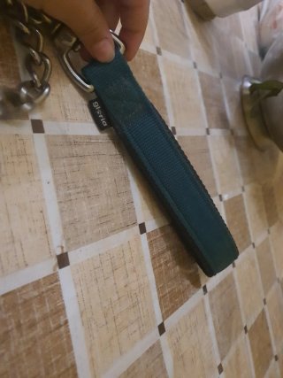 Correa para perro Gloria verde y plateada