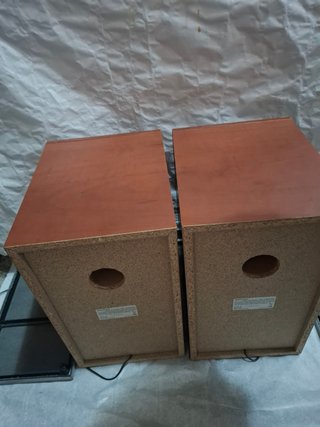 Altavoces Sony Marrones y Negros