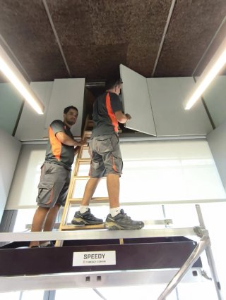 Carpintero profesional