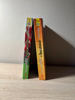 Lot 2 llibres Els Futbolíssims en català