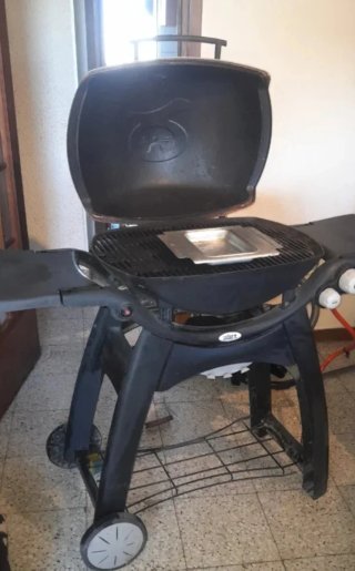 Barbacoa Weber Q3000