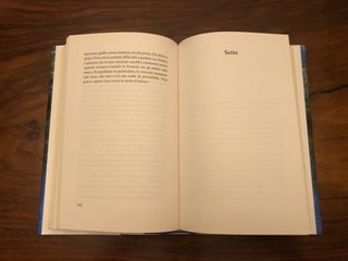 LIBRO MAI DIRE MAI DI DANIELLE STEEL