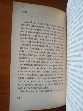 El loco (Miguel Delibes)