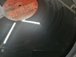Rave Allstars,Viva,Skudero,Lisa Abbott–Hardgessive