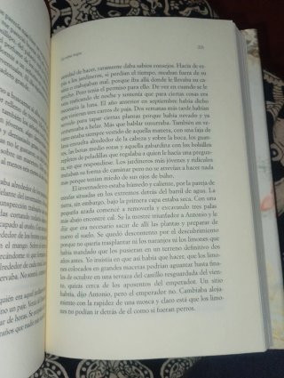 La rama negra