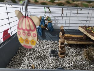 Jaula grande para conejo
