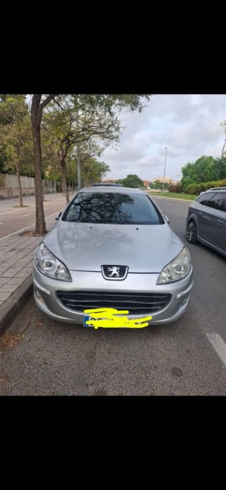Peugeot 407 2009