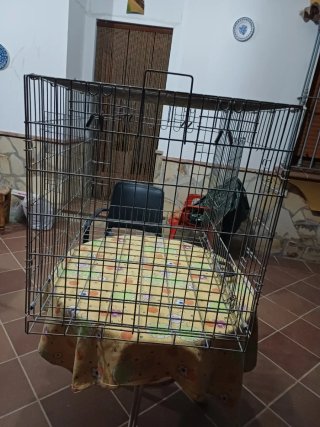 Jaula para animales plateada