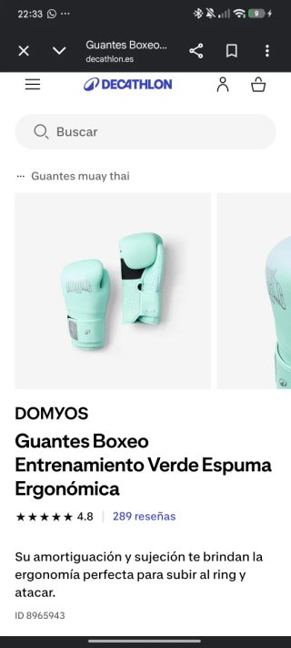 Saco Boxeo Rojo + Guantes verdes + Correa