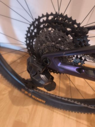 Orbea Oiz