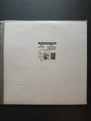 New Bomb Turks (vinilo)