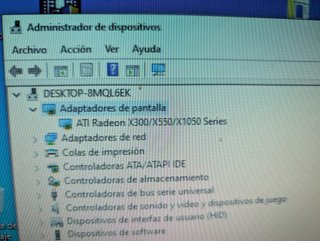Tarjeta Video ASUS ATI Radeon X300 256MB PCI-E