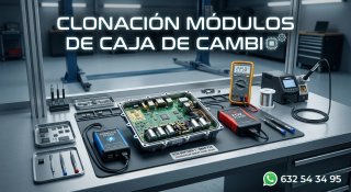 Clonación de Módulos de Caja de Cambio TCU/EGS