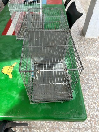 Jaulas 60 cm
