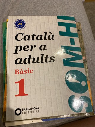 Som-hi català per a adults. Bàsic 1