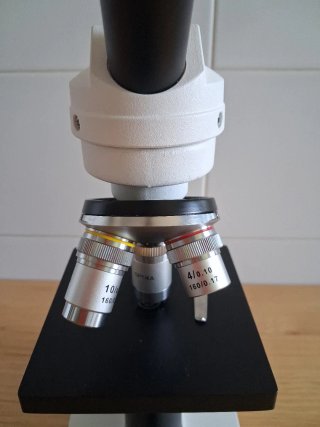 Microscopio Optika