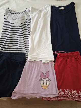 Lote Ropa: Camisetas T L y Pantalones T XL
