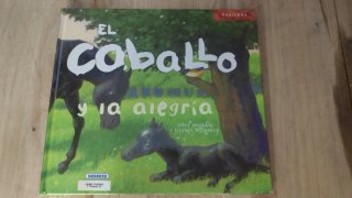 Lote de Cuentos variados
