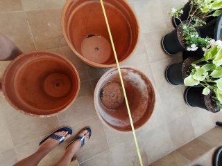 Macetas de terracota (4 unidades)