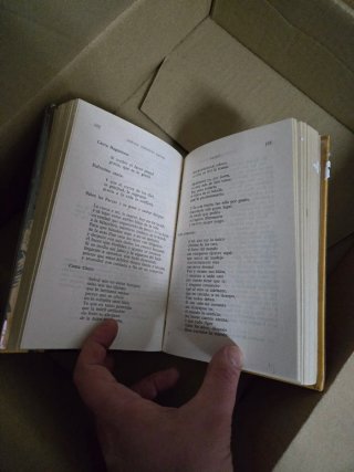 Collezione di 19 libri Edizioni Rodegar