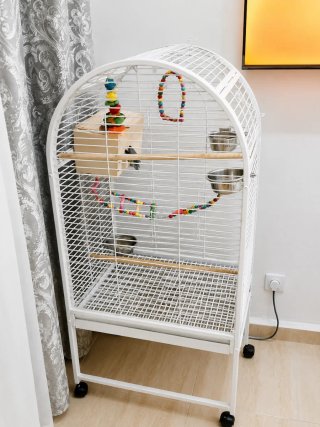 Jaula grande para loros , agapornis etc