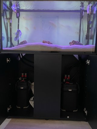 Acuario 300L con mueble, luz y filtros fluval