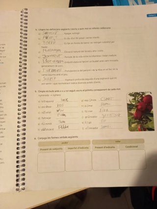 Quadern ProDigi. Llengua catalana i Literatura ...