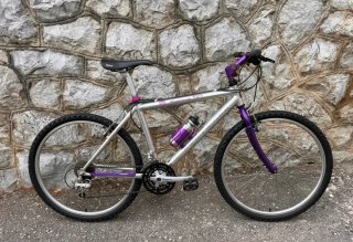 Bicicleta Montaña Aluminio 7005