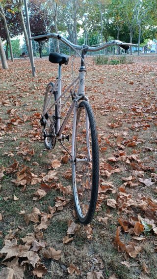 Bicicleta G.A.C. Vintage