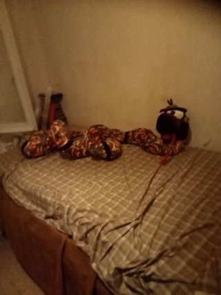 Peluche Serpiente Multicolor