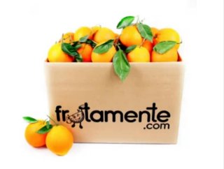 500 Cajas para Frutas y Verduras (15-20 Kg)