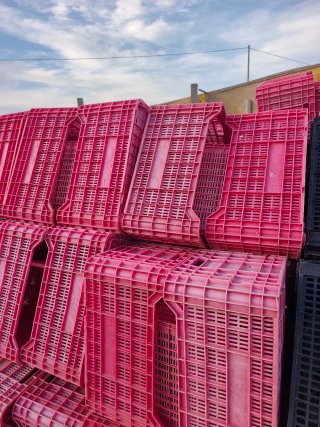 Cajas de plástico para campo (lote)