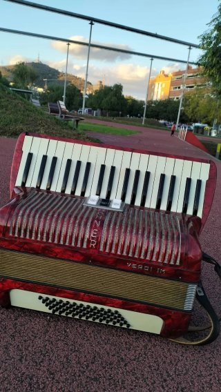 Acordeón Hohner Verdi IM Alemán 60 Bajos