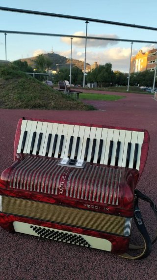 Acordeón Hohner Verdi IM Alemán 60 Bajos