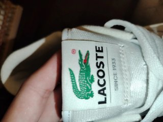 Zapatillas Lacoste Blancas Talla 42