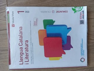 LLENGUA CATALANA I LITERATURA 1 BL (COMUNITAT EX)