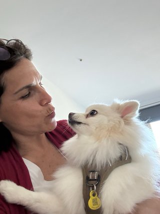 Pet Sitter -Paseo, visitas y hospedaje de mascotas
