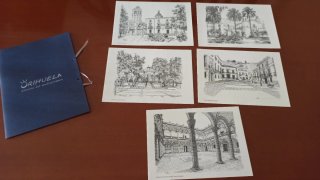 Lote de 15 postales ilustradas