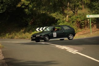 Citroen zx 1995