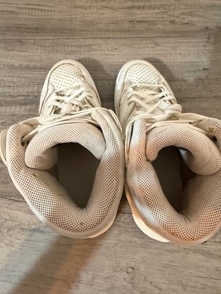Tenis Gucci Basket High Top Originales