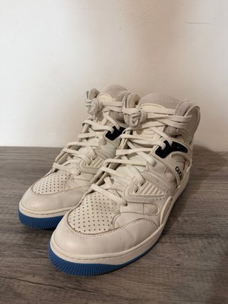 Tenis Gucci Basket High Top Originales