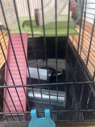 Jaula para hámster con accesorios