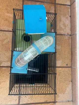 Jaula para hámster con accesorios