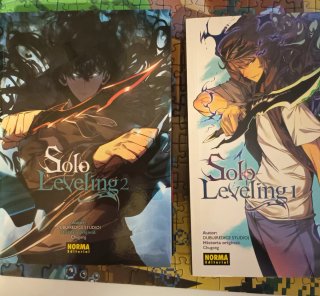 Solo leveling