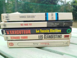 Lotto libri in francese