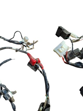 Cableado Daelim Roadwin FI 125cc