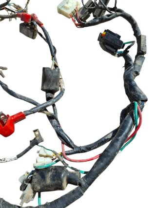 Cableado Daelim Roadwin FI 125cc