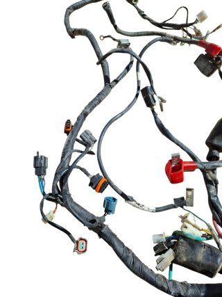 Cableado Daelim Roadwin FI 125cc